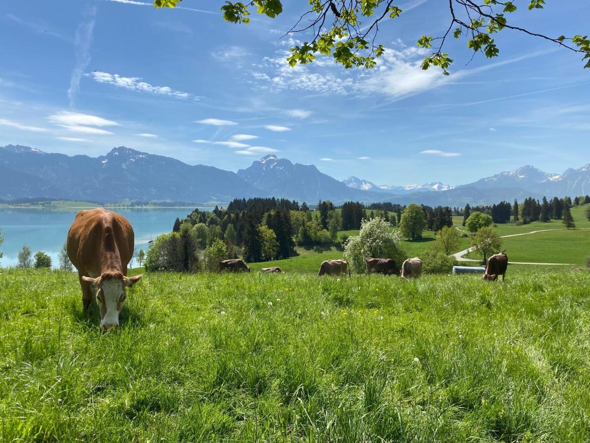 Best Butler Boho Boutique City Apartment Netflix Füssen Exterior foto